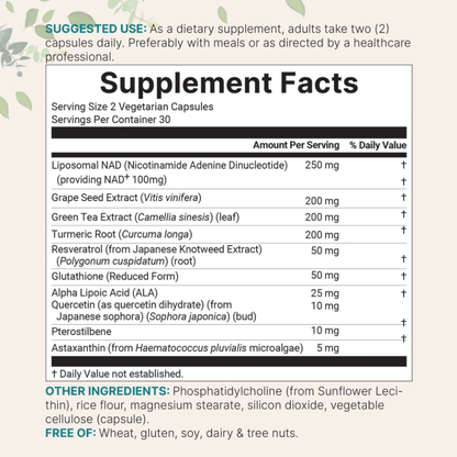 NAD+ Cellular Energy & Healthy Aging Support